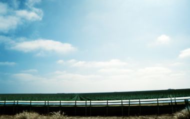 Sunny Clear Sky Rural Contiguous Farmland Scenery