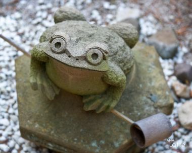 Stone Frog Statue In Shimane Garden