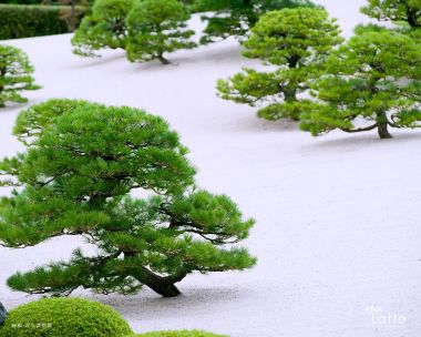 Adachi Museum Of Art Japanese Zen Garden