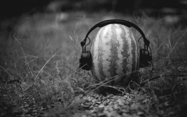 Watermelon Wearing Headphones On Grass Black And White Creative Photography