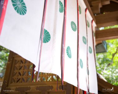 日本高松神社的十六瓣八重表菊暖帘