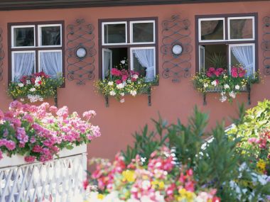 Germany Traditional Cottage Window Box Flower Scene