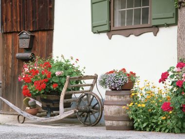 Germany Rural Cottage Front Vintage Flower Landscape