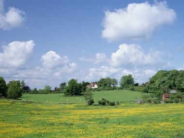 Sunny Summer Uk Rural Pastoral Scenery