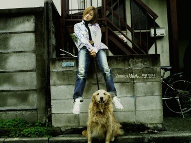 日本女星梅宫万纱子与金毛犬日系街巷人像写真