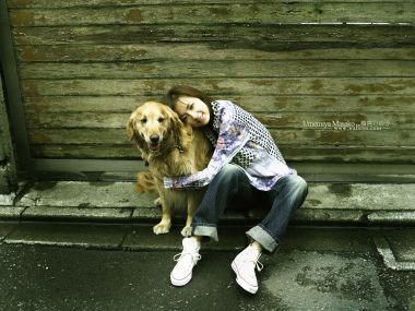 日本女星梅宫万纱子与金毛犬户外温馨合影