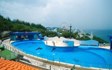 香港海洋公园海豚表演池夏日全景