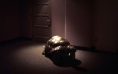 Turtle Sculpture In Dim Room
