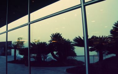 Vintage Tone Glass Window Reflecting Sago Palm Courtyard View