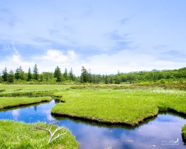 Yoichi Hokkaido Wetland Landscape