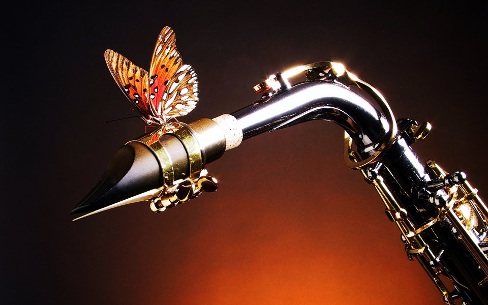 Butterfly Landing On A Saxophone