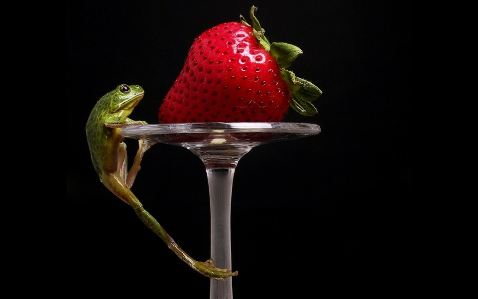 Frog And Strawberry On Glass