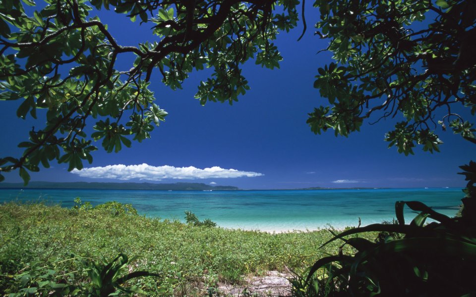 Japan Okinawa Beach Natural Scenery