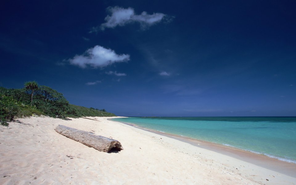 Japan Okinawa Beach Scenery