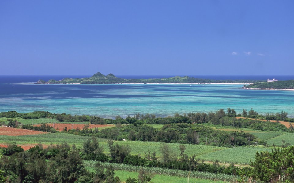 Japan Okinawa Beach Scenery