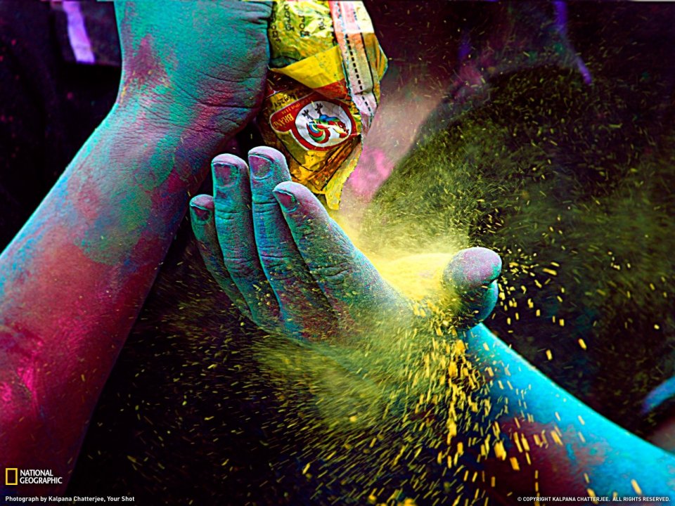 India Holi Festival Colored Powder Sprinkling Scene