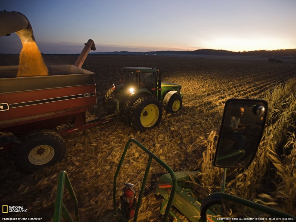Iowa Corn Farm Harvest Dusk