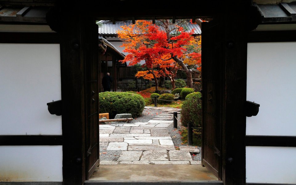 日本圆觉寺庭院红叶