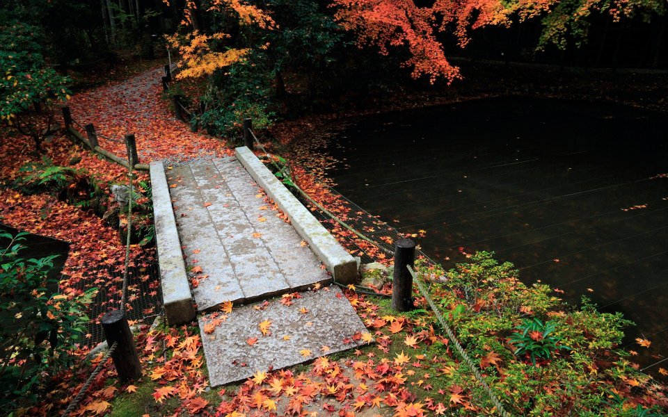 Japan Enkoji Temple Autumn Stone Bridge And Maple Leaves