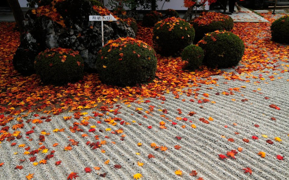 Kyoto Enkoji Temple Zen Garden Autumn Scenery