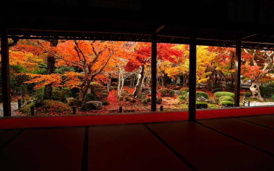 Japanese Enkoji Temple Autumn Garden Maple Leaves