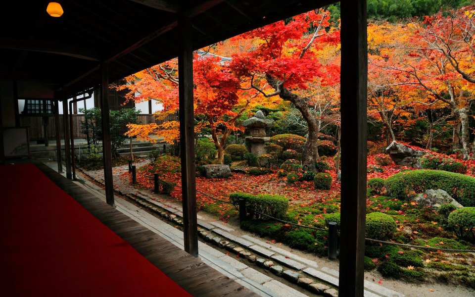 Japan Kyoto Enkoji Temple Autumn Maple Leaves Garden