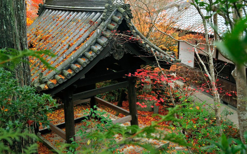 Japan Enkoji Temple Autumn Red Leaves And Traditional Architecture