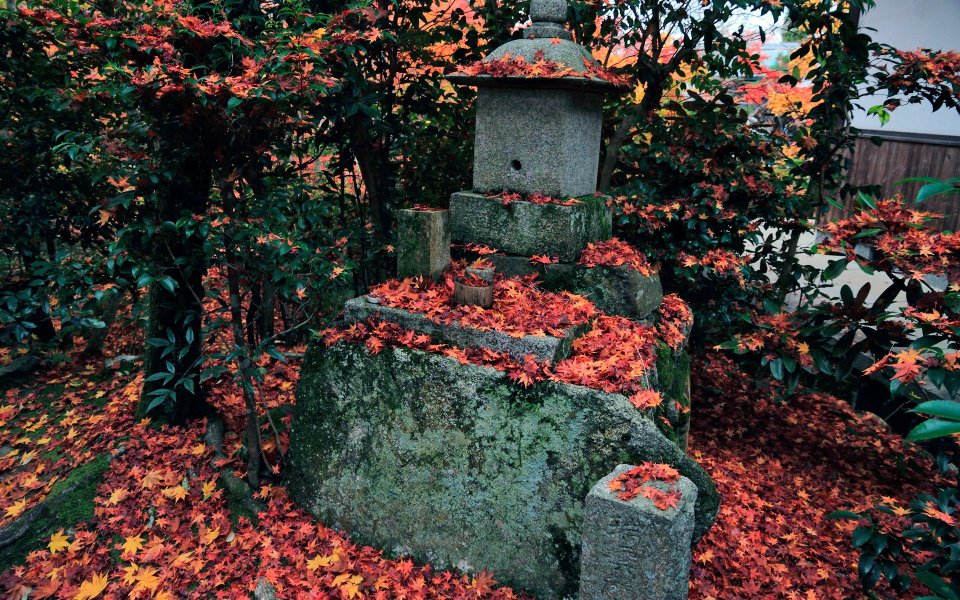 日本京都圆觉寺庭院红叶石灯笼