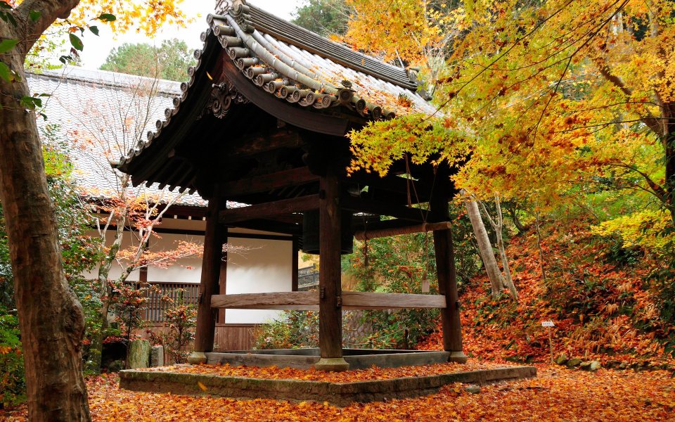 日本京都圆觉寺秋日红叶与传统建筑