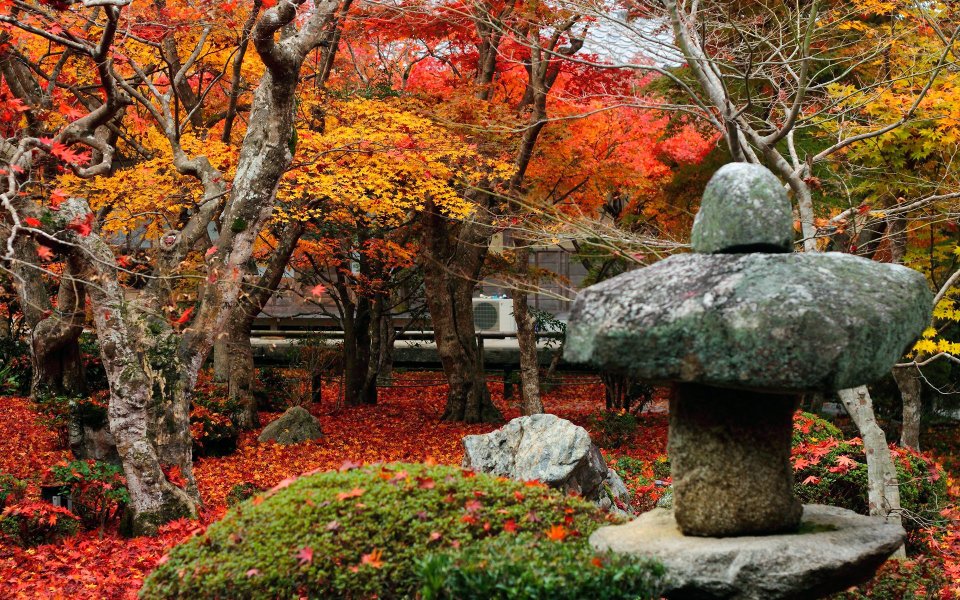 日本京都圆觉寺秋日红叶石灯笼景观