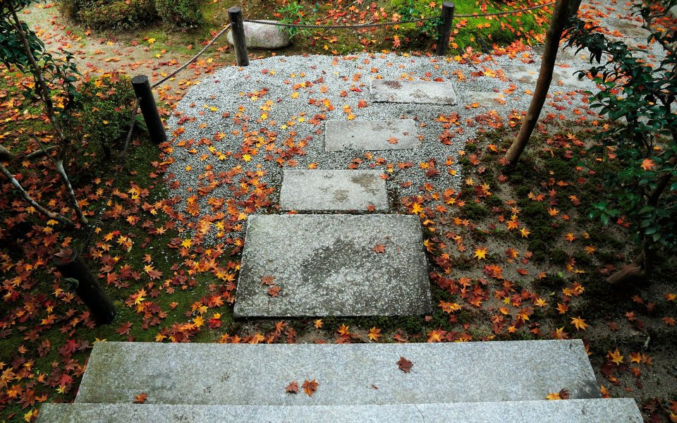 日本京都圆觉寺秋日庭院石板路