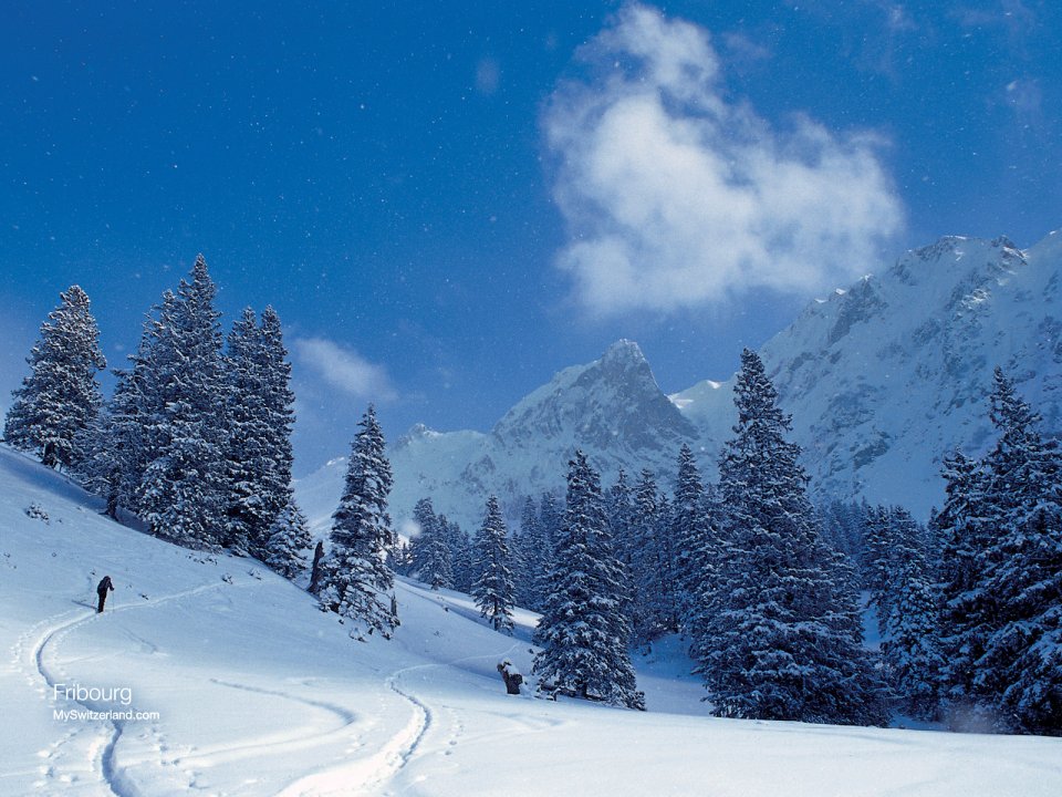 瑞士弗里堡雪景滑雪者