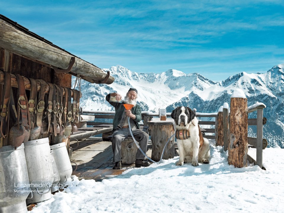Swiss Lenzerheide Mountain Cabin Elderly Man And Saint Bernard
