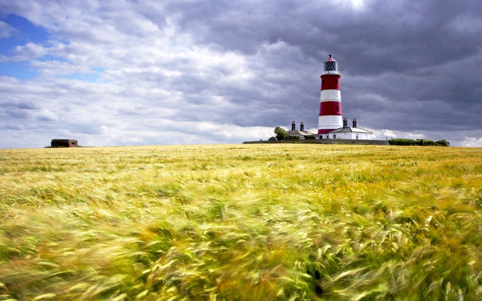 British Red And White Lighthouse With Wheat Field
