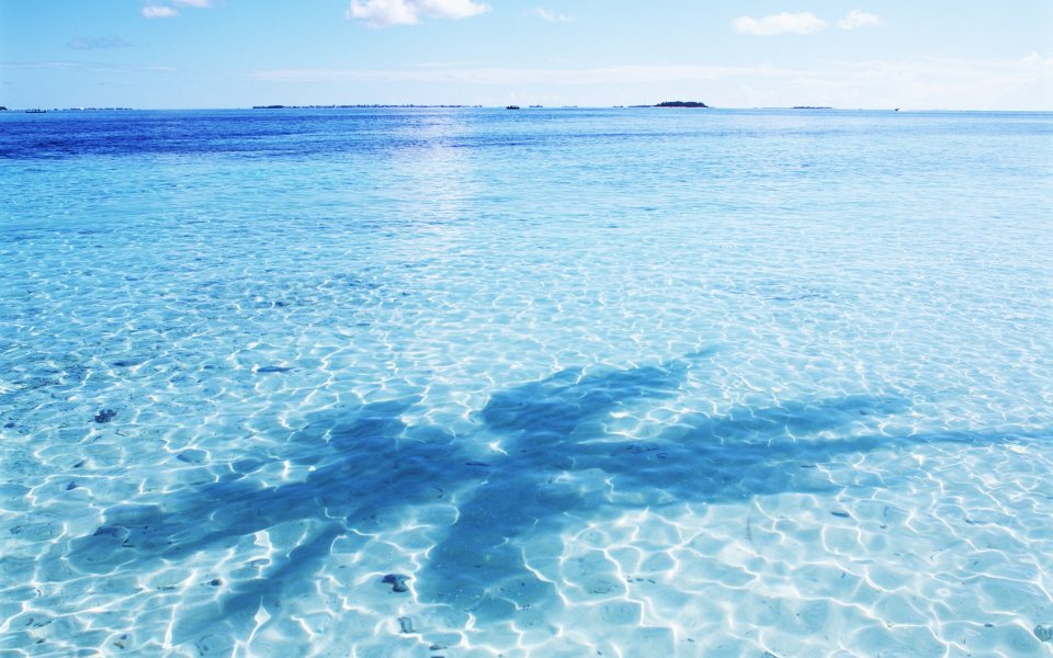Maldives Aquamarine Clear Sea Shallow Water