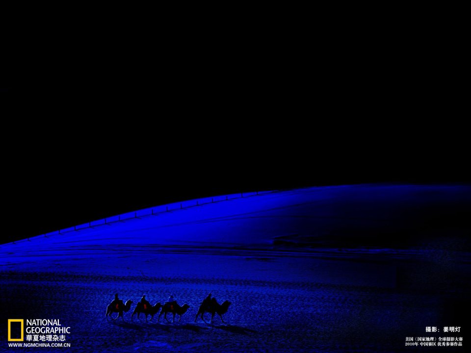 China Desert Night Scene Camel Silhouette