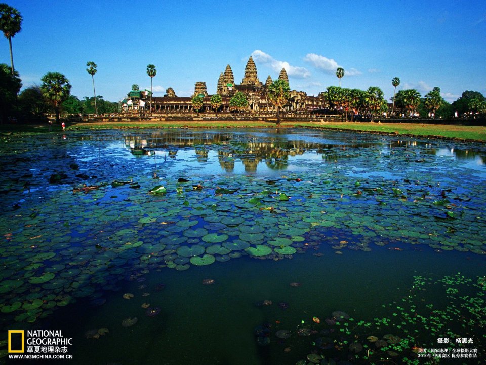 Cambodia Angkor Wat Lotus Pond