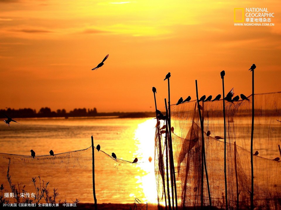 National Geographic Photo Contest Sunset Over Water With Birds