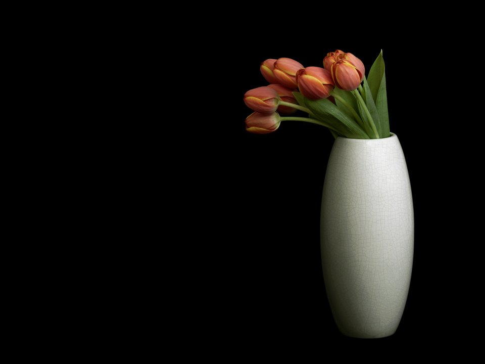 White Vase With Orange Tulips Still Life Photography
