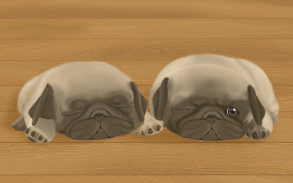 温馨治愈的巴哥犬插画