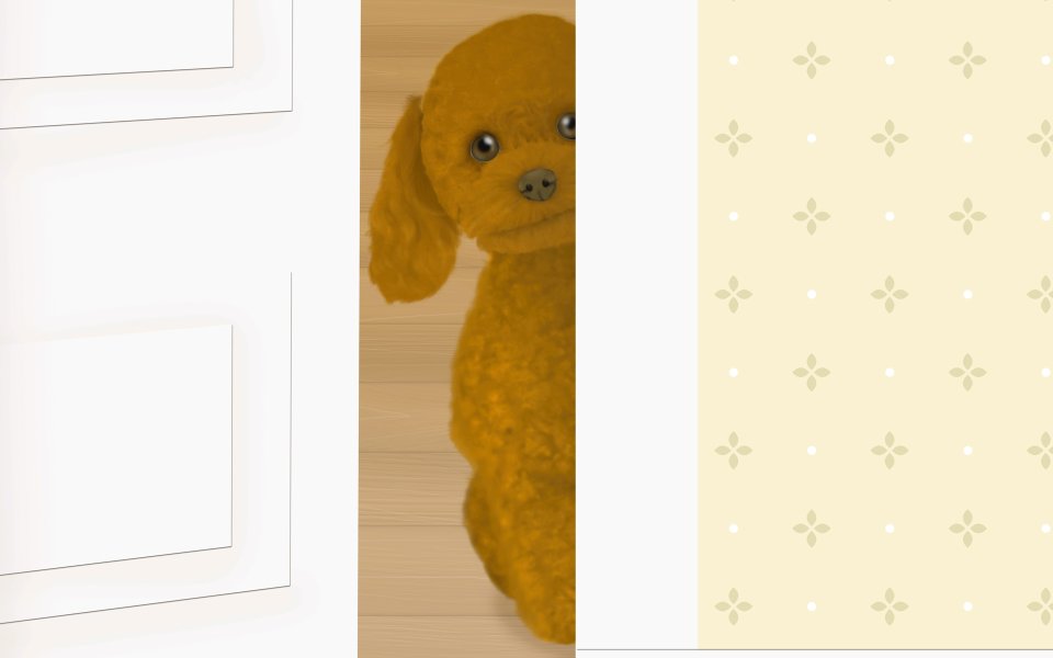Cute Poodle Peeking From Door