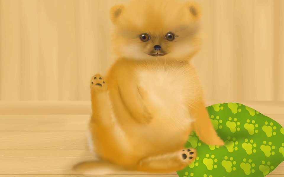Cute Pomeranian Digital Illustration