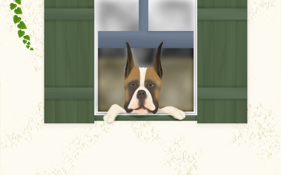 Cute Boxer Dog At The Window Illustration