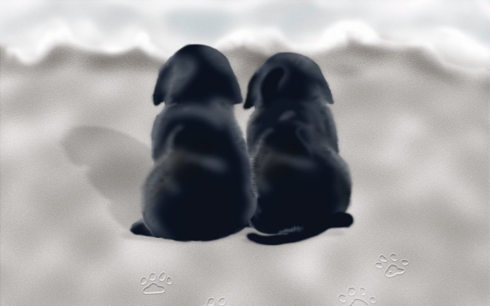 Two Cute Puppies Sitting On The Beach