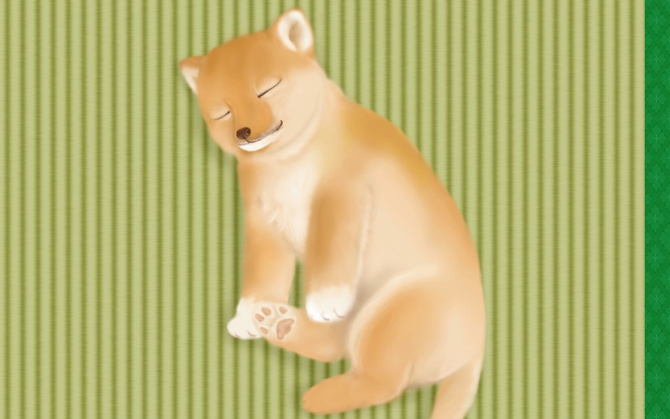 榻榻米上熟睡的可爱柴犬