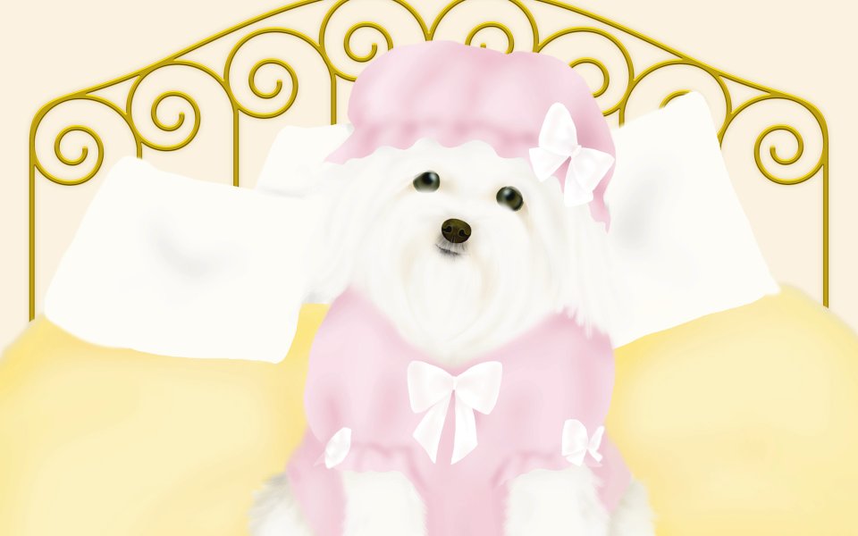 Cute Bichon Frise In Pink Pajamas Illustration