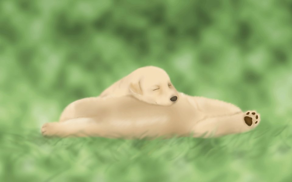 Sleeping Puppy On Grass Illustration