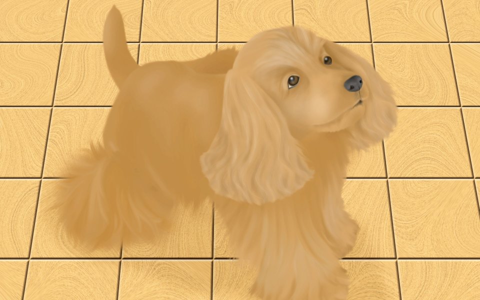 可爱金黄色可卡犬插画