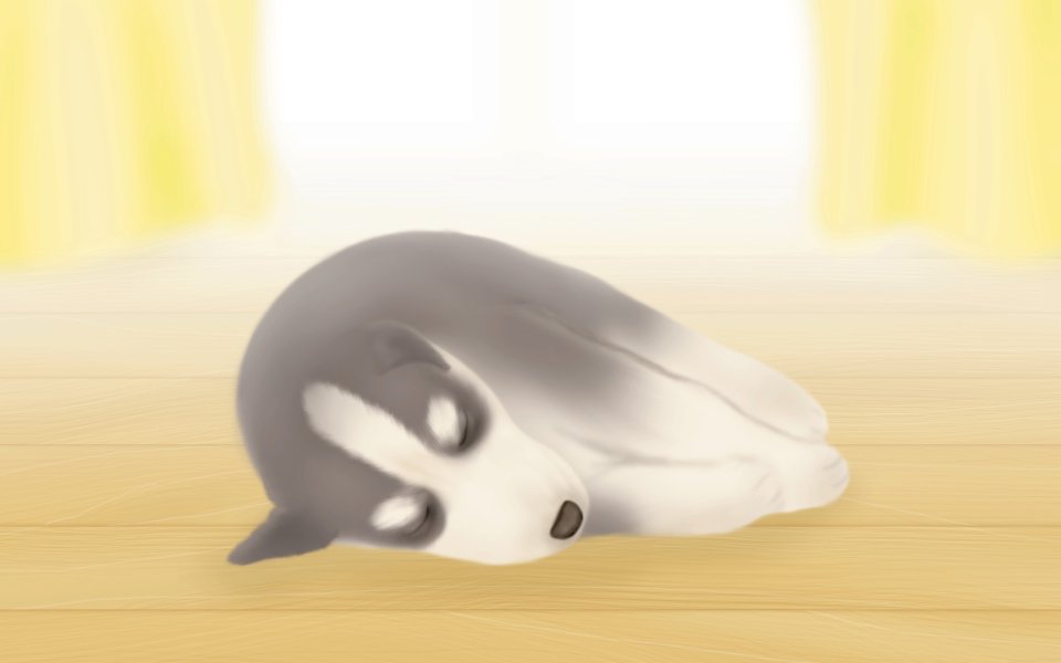 温馨治愈系哈士奇幼犬插画