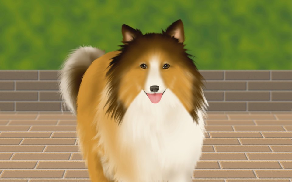Cute Shetland Sheepdog Illustration